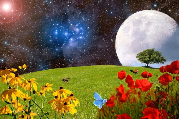 Полный лунный календарь на август 2022 года: как повлияют на человека новолуние и полнолуние Полный лунный календарь на август 2022 года: как повлияют на человека новолуние и полнолуние