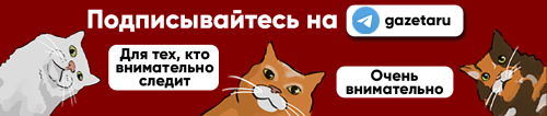 Для iPhone вышло приложение ChatGPT. Как загрузить его в российском App Store  Для iPhone вышло приложение ChatGPT. Как загрузить его в российском App Store