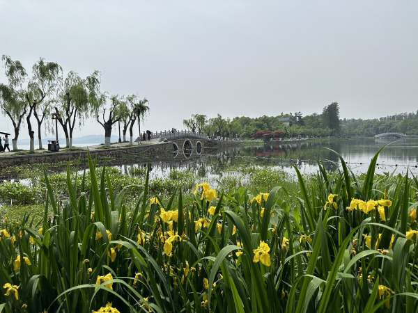На каких машинах гоняют сами китайцы? Удивитесь, но в топе не только бренды из КНР!