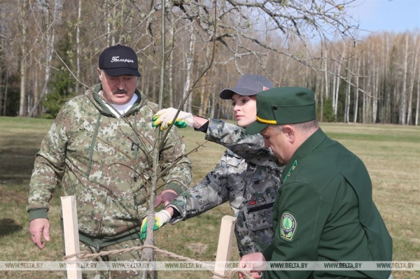 "Каждый год надо привносить изюминку". Лукашенко на субботнике трудился в мемориальном комплексе "Хатынь" "Каждый год надо привносить изюминку". Лукашенко на субботнике трудился в мемориальном комплексе "Хатынь"