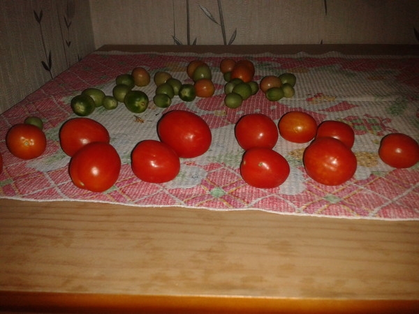 Что необходимо сделать, чтобы сохранить свежесть красных помидоров до Нового года Что необходимо сделать, чтобы сохранить свежесть красных помидоров до Нового года