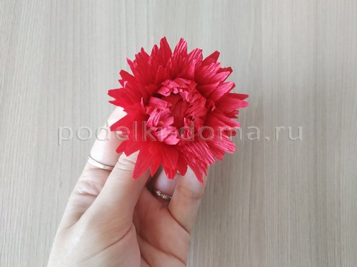Цветок георгина из гофробумаги Цветок георгина из гофробумаги