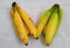 Свежие и вкусные бананы: как хранить плоды, чтобы они не чернели на протяжении 14 дней Свежие и вкусные бананы: как хранить плоды, чтобы они не чернели на протяжении 14 дней